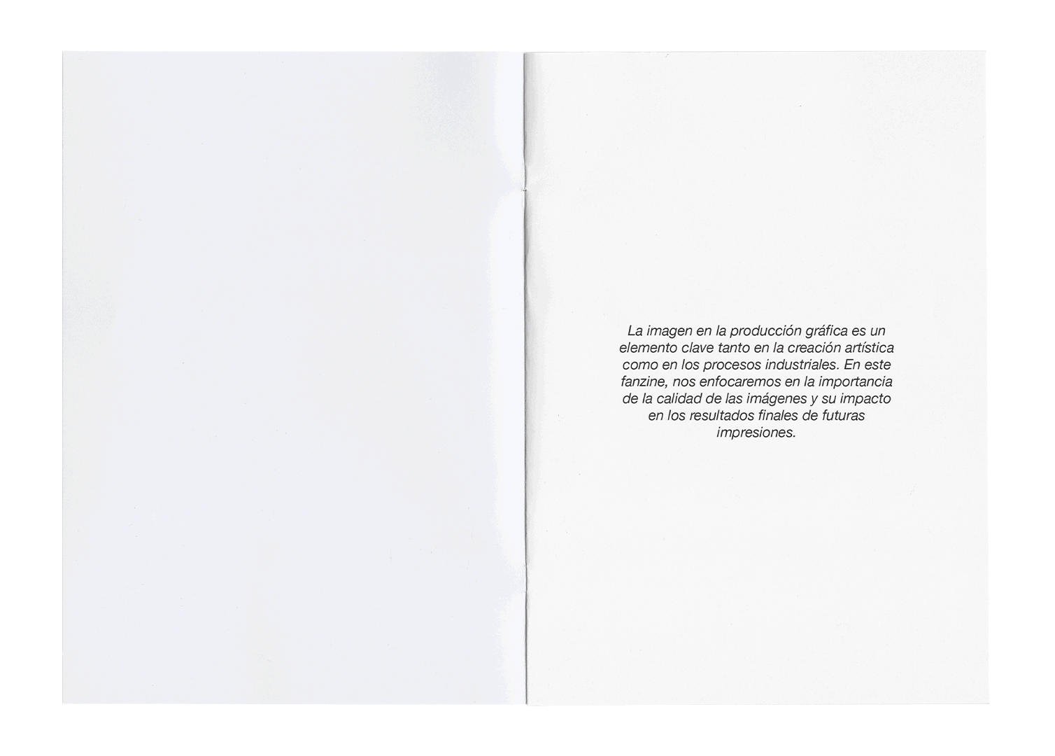 Vista abierta de un fanzine con demostración del uso de diferentes calidades de imagen