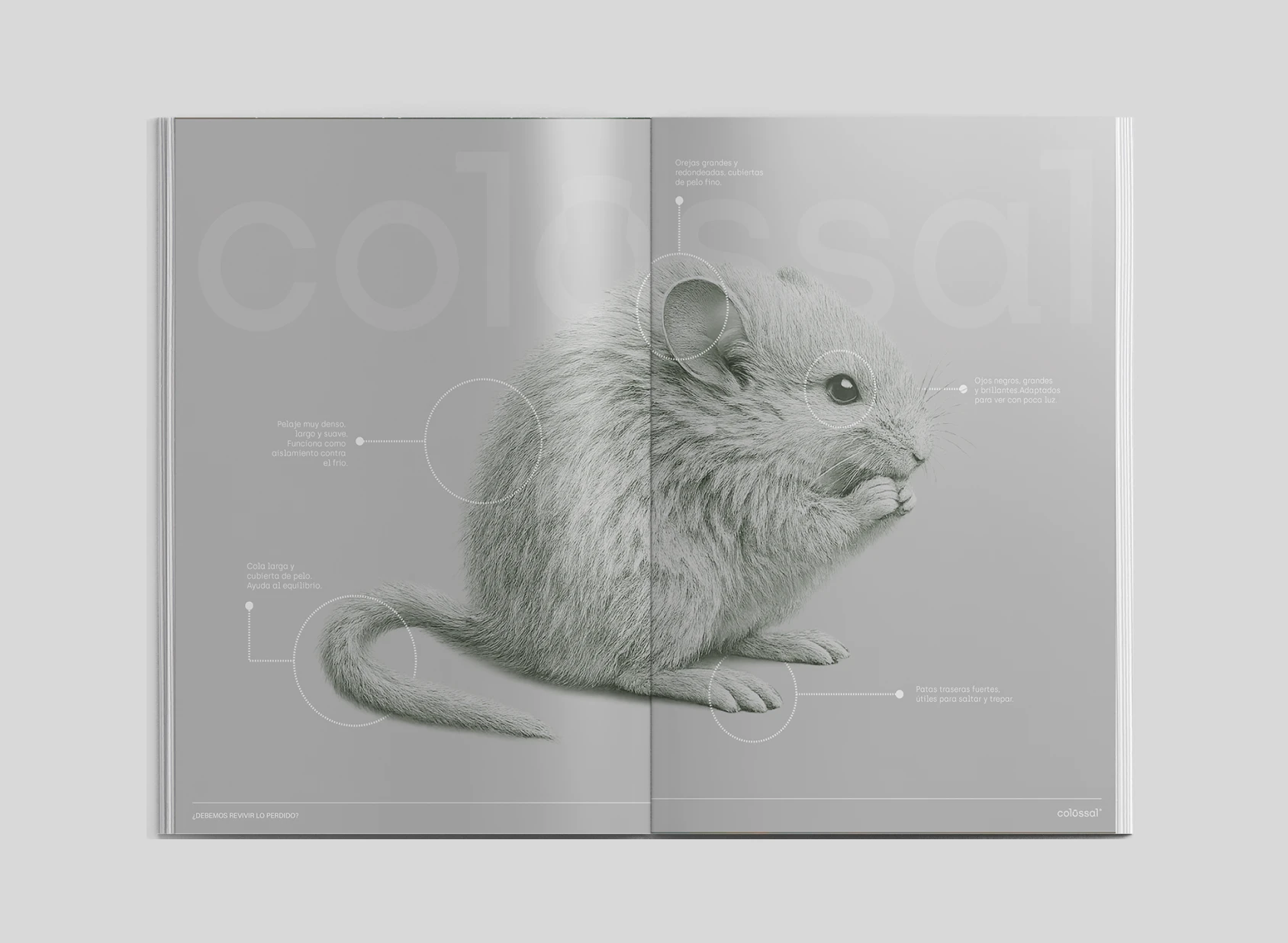 Revista abierta con imagen de un ratón sobre fondo gris